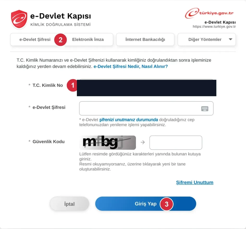 e-Devlet şifreyle giriş formu; işaretli: 1. T.C. Kimlik No, 2. e-Devlet Şifresi, 3. Giriş Yap düğmesi